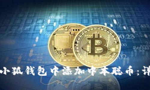如何在小狐钱包中添加中本聪币：详细教程