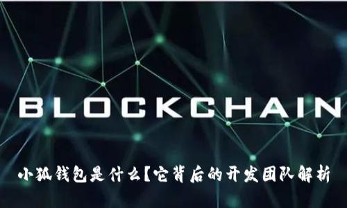 小狐钱包是什么？它背后的开发团队解析