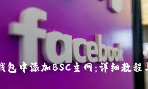 如何在小狐狸钱包中添加BSC主网：详细教程与常见问题解答