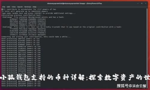 : 小狐钱包支持的币种详解：探索数字资产的世界