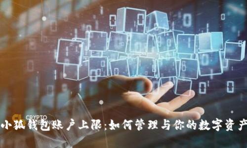 小狐钱包账户上限：如何管理与你的数字资产
