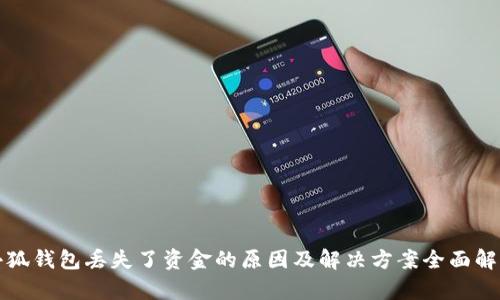小狐钱包丢失了资金的原因及解决方案全面解析