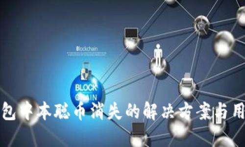 小狐钱包中本聪币消失的解决方案与用户指南