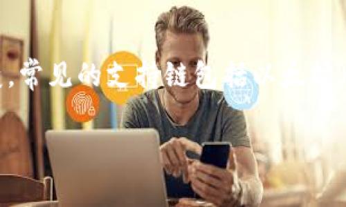 小狐钱包（Xiao Hu Wallet）是一个多链数字资产钱包，它支持多种区块链网络。不过，具体的支持链子可能会因版本更新而有所改变。常见的支持链包括以太坊（Ethereum）、比特币（Bitcoin）、以及一些主流的公链和联盟链。要获取最新的信息，建议访问小狐钱包的官方网站或查看其官方公告。

如果你对小狐钱包的特性、使用方法或安全性等方面有疑问，我可以进一步提供相关信息。请告诉我你的具体需求。
