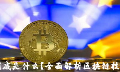 
币圈区块链到底是什么？全面解析区块链技术与币圈现状
