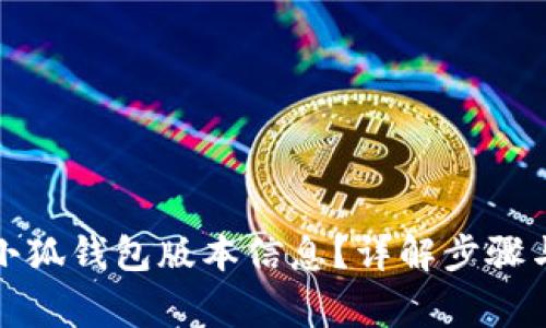 如何查看小狐钱包版本信息？详解步骤与常见问题