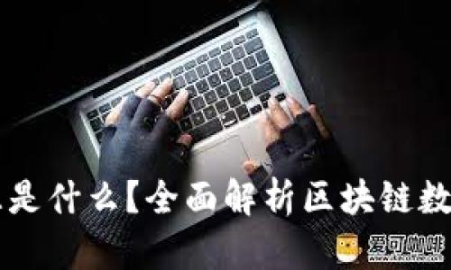 区块链的数据源是什么？全面解析区块链数据的获取与应用