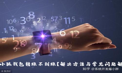 : 小狐钱包转账不到账？解决方法与常见问题解析