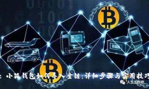 : 小狐钱包如何导入主链：详细步骤与实用技巧