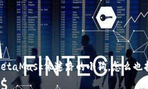 当你的MetaMask像迷路的小狗，怎么也找不到家！