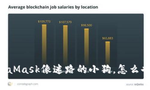 当你的MetaMask像迷路的小狗，怎么也找不到家！