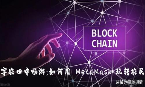 在数字农田中畅游：如何用 MetaMask 玩转农民世界