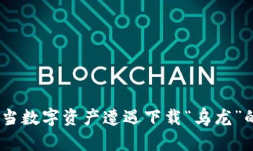 小狐钱包：当数字资产遭遇下载“乌龙”的趣味探秘