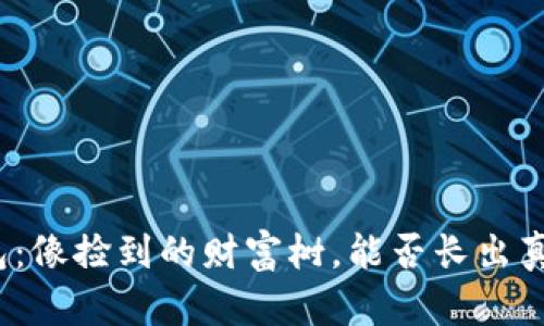 小狐钱包：像捡到的财富树，能否长出真金白银？