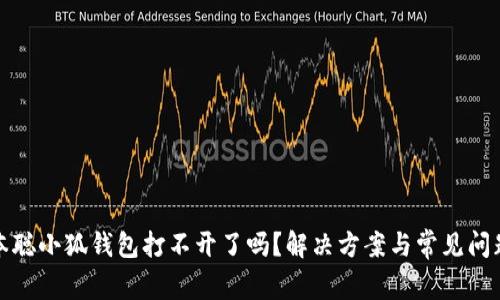 : 中本聪小狐钱包打不开了吗？解决方案与常见问题剖析