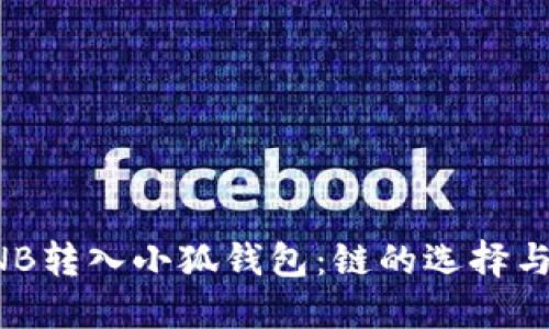 如何将BNB转入小狐钱包：链的选择与操作指南