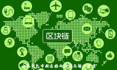  
小狐钱包中断连接的原因及解决方案