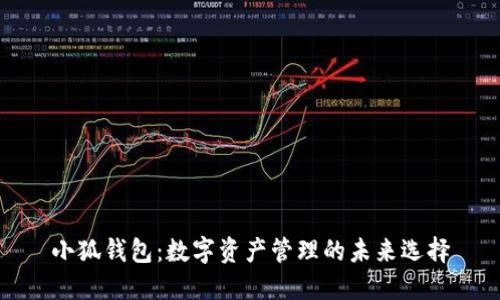 小狐钱包：数字资产管理的未来选择