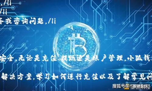   小狐钱包充值攻略：轻松管理您的数字资产 / 

 guanjianci 小狐钱包, 充值, 数字资产, 钱包管理 /guanjianci 

什么是小狐钱包？
小狐钱包是一款专注于数字资产管理的移动应用，旨在为用户提供安全、便捷的数字货币存储与交易服务。随着区块链技术的发展，越来越多的人开始使用数字货币，而小狐钱包正是满足这种需求的一款优秀工具。用户可以在小狐钱包中不仅存储多种类型的数字货币，还可以便捷地进行充值、提现和转账操作。

小狐钱包的主要功能
小狐钱包拥有丰富的功能，以下是一些主要特点：
ul
    listrong安全性高：/strong小狐钱包采用多重加密技术，确保用户的资产安全。此外，用户还可以设置多重身份验证，提升账户的安全防护。/li
    listrong多币种支持：/strong小狐钱包支持多种主流数字货币，包括比特币、以太坊、莱特币等，用户可以轻松管理不同类型的数字资产。/li
    listrong用户友好的界面：/strong小狐钱包设计简洁易用，用户可以快速上手，进行资产查看与管理。/li
    listrong实时市场数据：/strong小狐钱包内置市场行情功能，让用户可以随时查看自己资产的实时价格与走势，便于做出交易决策。/li
    listrong充值与提现功能：/strong用户可以方便地进行充值与提现，支持多种支付方式，让资产管理更加灵活。/li
/ul

如何在小狐钱包上进行充值？
充值是小狐钱包的一项基本功能，用户可以通过不同的方式向钱包添加资金，下面详细介绍几种常见的充值方式：

h41. 银行转账充值/h4
用户可以选择通过银行转账的方式进行充值。操作步骤如下：
ol
    li打开小狐钱包，登录账户。/li
    li在主界面中，找到“充值”选项并点击进入。/li
    li选择“银行转账”充值方式，系统会显示可用的银行账户信息。/li
    li用户根据提供的信息，使用自己银行的转账功能，将资金转入指定账户。/li
    li转账完成后，返回小狐钱包，点击“确认充值”，输入转账金额及相关信息，提交申请。/li
    li系统在确认收到资金后，余额将会更新。/li
/ol

h42. 第三方支付平台充值/h4
除了银行转账，小狐钱包还支持通过第三方支付平台（如支付宝、微信等）充值，具体步骤如下：
ol
    li登录小狐钱包，找到“充值”选项。/li
    li选择“第三方支付平台”，并选择您要使用的支付方式。/li
    li系统会生成专属支付二维码或链接，用户可以通过相应的支付应用扫描二维码进行充值。/li
    li支付成功后，返回小狐钱包确认充值，输入支付金额并提交。/li
/ol

h43. 代币充值/h4
如果用户已经拥有其他平台的数字货币，也可以选择通过代币充值。操作步骤如下：
ol
    li在小狐钱包中找到“充值”选项，选择“代币充值”。/li
    li系统提供用户一个唯一的充值地址，用户需将数字货币转入该地址。/li
    li完成转账后，返回小狐钱包确认充值，输入转账金额等信息。/li
    li系统会在确认收到币种后，更新用户余额。/li
/ol

小狐钱包充值的注意事项
在进行小狐钱包充值时，用户需要注意以下几点：
ul
    listrong账户信息核对：/strong确保在充值之前仔细核对钱包地址和银行账户信息，避免因信息错误导致资金损失。/li
    listrong转账金额：/strong在进行转账时，特别要注意金额的准确性，误转或少转都会对后续的充值产生影响。/li
    listrong手续费问题：/strong不同的充值方式可能涉及手续费，尤其是银行转账和第三方支付平台，用户在选择充值方式时需考虑手续费的问题。/li
    listrong处理时间：/strong不同充值方式的处理时间差异较大，银行转账一般需要几个工作日，而第三方支付则通常是即时到账。用户要根据自己的需求选择适当的充值方式。/li
/ul

可能的相关问题

h41. 小狐钱包安全吗？/h4
小狐钱包的安全性可以从以下几个方面进行分析：

首先，小狐钱包采用了行业领先的加密技术，所有用户数据及资产均经过多重加密处理，确保其在传输和存储过程中的安全性。资产安全是用户最为关心的问题，小狐钱包注重引入最新的安全技术，以防止黑客攻击和信息泄露。

其次，小狐钱包支持用户开启多重身份验证，这意味着需要提供多种认证途径才能完成登录和转账，增加了账户的安全级别。如果用户的手机丢失或者密码被盗，也能通过其他验证手段确保账户安全。

然而，用户在使用小狐钱包时，仍应提高自身的安全意识。比如，不要随意点击不明链接，定期更改密码，并确保手机等设备的安全性。此外，定期备份及更新手机应用，以免遗失重要数据。

h42. 小狐钱包可以提现吗？/h4
当然可以，小狐钱包不仅支持充值功能，还提供方便的提现服务。用户可以轻松将钱包中的数字资产提现到银行账号或第三方支付平台。下面是提现的具体操作步骤：

ol
    li用户打开小狐钱包，登录账户。/li
    li在主页选择“提现”选项。/li
    li选择提现方式，用户可以选择提现到银行账户或第三方支付平台。/li
    li输入提现金额与相关信息，系统会提示用户核对提现信息。/li
    li提交申请后，系统会处理并确认，成功后将资金转入指定账户。/li
/ol

需要注意的是，提现过程中可能会涉及手续费，具体费用标准会在提现页面展示。此外，提现所需的处理时间也可能因选择的方式而异，一般而言，第三方支付的提现会更迅速。

h43. 如何恢复小狐钱包的账户？/h4
在遗失或无法登录小狐钱包时，用户可以通过以下步骤尝试恢复账户：

ol
    li打开小狐钱包登录页面，点击“忘记密码”选项。/li
    li系统会要求用户输入注册时绑定的手机或邮箱，之后会向其发送验证信息。/li
    li用户需检查自己的手机或邮箱，输入收到的验证码。/li
    li验证通过后，用户可以设置新的登录密码。/li
    li若用户未绑定手机或邮箱，建议联系小狐钱包的客服进行账户状态查询。/li
/ol

此外，为了避免账户丢失，用户在使用钱包的时候，务必记得定期备份助记词等账户信息。恢复口令是用户重新获得钱包控制权的关键。

h44. 小狐钱包的客服联系方式有哪些？/h4
小狐钱包提供多种客服联系方式，以便用户在遇到问题时能够及时得到帮助：

ul
    listrong官方网站：/strong用户可以在小狐钱包的官方网站上找到相关的客服信息和帮助文档，这里有详细的FAQ和帮助指南。/li
    listrong在线客服：/strong小狐钱包提供24小时在线客服功能，用户可通过app中的客服入口与客服进行实时沟通，获得解答。/li
    listrong社交媒体：/strong小狐钱包在多个社交媒体平台上均有官方账号，用户也可以通过这些平台与客服进行联系，获取服务或咨询问题。/li
    listrong客服电话：/strong如用户希望通过电话方式获得支持，小狐钱包也提供客服电话，用户可以拨打获取相关帮助。/li
/ul

综合来看，小狐钱包以其高安全性、多功能性和便捷性受到了广泛的欢迎。不过在使用过程中，用户仍需保持警惕，保护好自己的资产安全。无论是充值、提现还是账户管理，小狐钱包的相关功能设计都十分人性化，确保用户能享受流畅的数字资产管理体验。 

总结而言，随着数字货币的普及和日常生活中更多人开始使用这样的资产管理工具，小狐钱包为用户提供了一个安全、方便且直观的解决方案。学习如何进行充值以及了解常见问题可以更好地帮助用户利用小狐钱包进行资产管理，最终达到对数字货币投资的高效掌控。