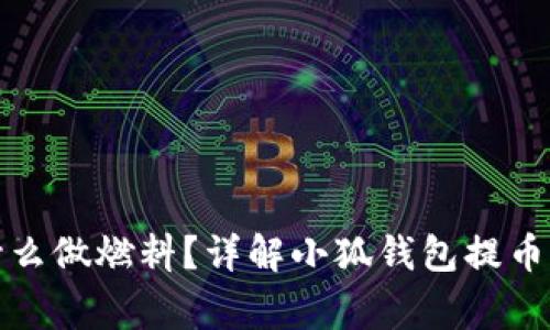 小狐钱包提币用什么做燃料？详解小狐钱包提币的流程与注意事项