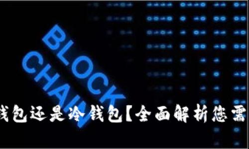 小狐钱包：热钱包还是冷钱包？全面解析您需要知晓的知识