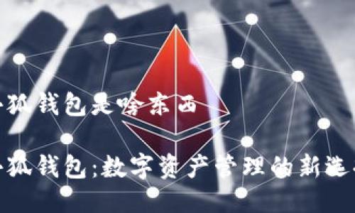 小狐钱包是啥东西

小狐钱包：数字资产管理的新选择