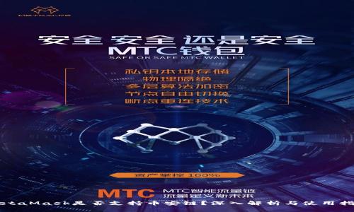 MetaMask是否支持币安链？深入解析与使用指南