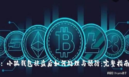 : 小狐钱包被盗后如何处理与预防：完整指南